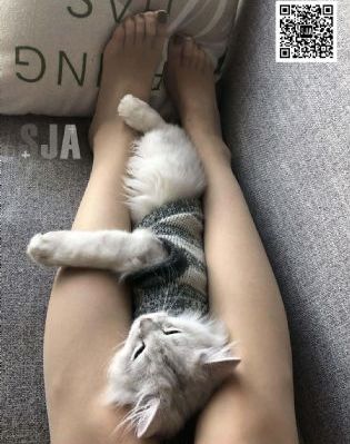 奇人奇案电视剧免费完整版_1080完整版观看