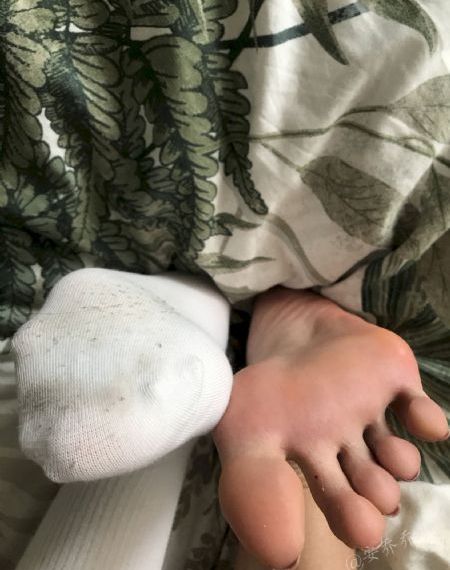 人妖系列网站在线观看_4K免费在线观看